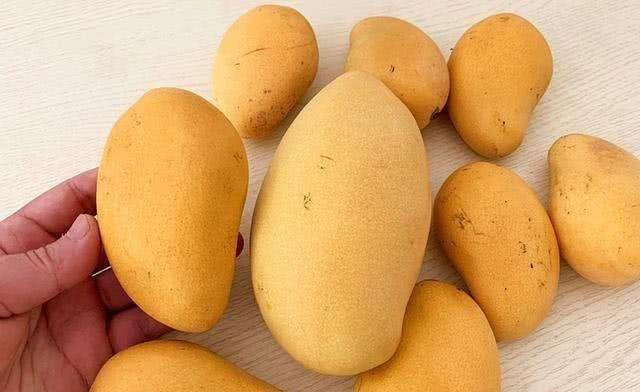 Khi mua xoài thấy có 3 dấu hiệu này nên tránh xa, người bán cũng chẳng thèm ăn-1