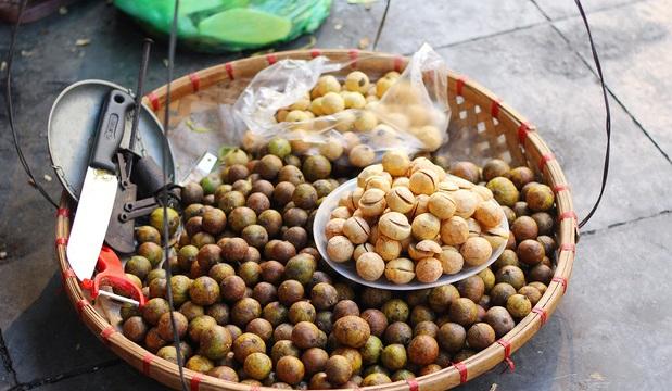 Tranh thủ tìm ăn sấu chín những ngày đầu thu Hà Nội-1