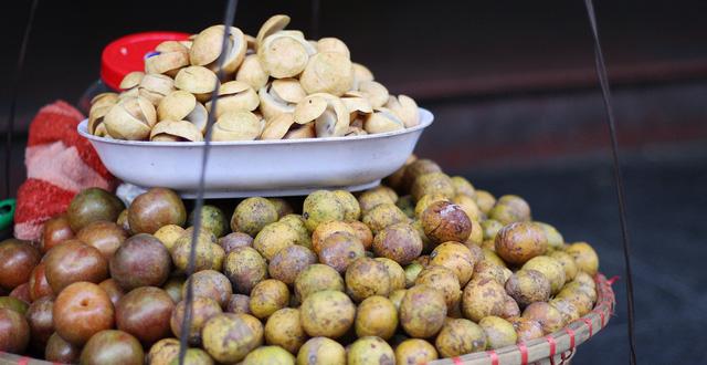 Tranh thủ tìm ăn sấu chín những ngày đầu thu Hà Nội-2