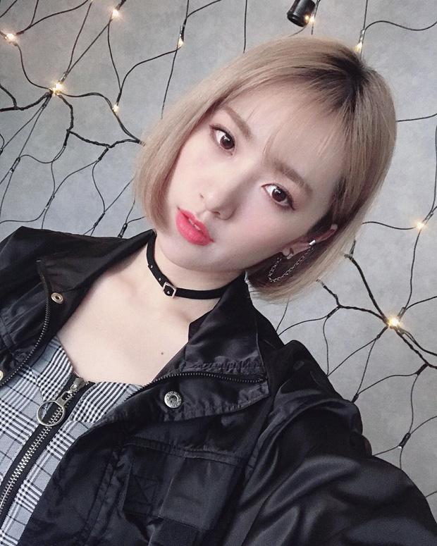 2 thí sinh gốc Việt vừa debut tại show tuyển girlgroup xứ Đài: Siêu xinh và tài năng nhưng xót xa nhất là cảnh đời mỗi người-12