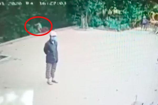 Clip: Hoảng hồn bé trai đạp xe lao thẳng xuống vực, người lớn đứng cạnh không hề biết-2