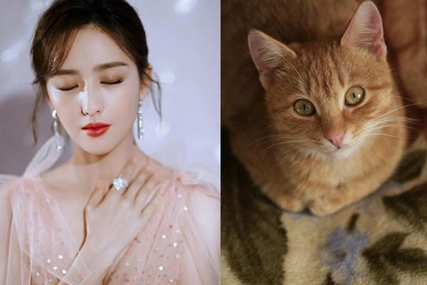 Tháng cô hồn sắp qua, vận may lại tới với 3 con giáp này-3