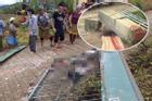 Sập cổng trường mầm non ở Lào Cai, 3 cháu bé tử vong