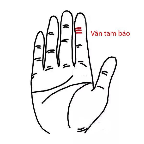 Tâm sinh tướng, những người sở hữu đường vân tay này tài hoa vô cùng, cả đời nằm trên tiền-1