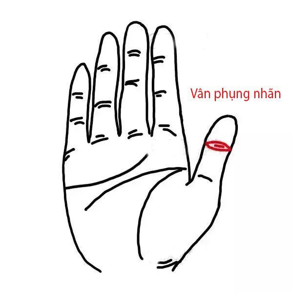 Tâm sinh tướng, những người sở hữu đường vân tay này tài hoa vô cùng, cả đời nằm trên tiền-3