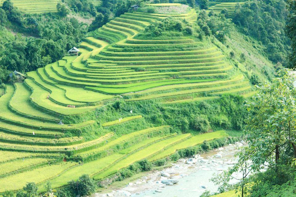 Nữ sinh Hà Nội lạc trong bức tranh tuyệt sắc tại Mù Cang Chải-4