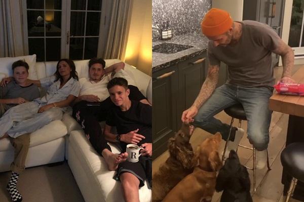 Người con giàu nhất của David Beckham-3