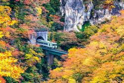 Hẻm núi Nhật Bản nhuộm sắc vàng, đỏ ngày thu