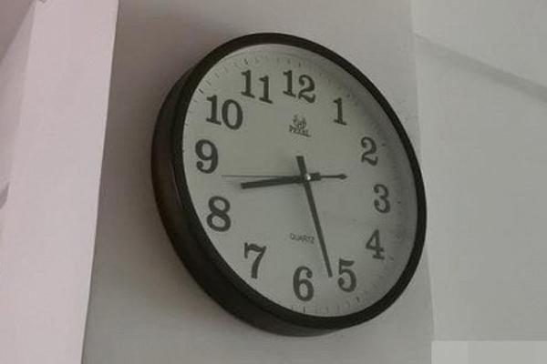 Những con giáp nhìn ngoài quê mùa nhưng trong két đầy tiền, lúc biết ai cũng bất ngờ-4