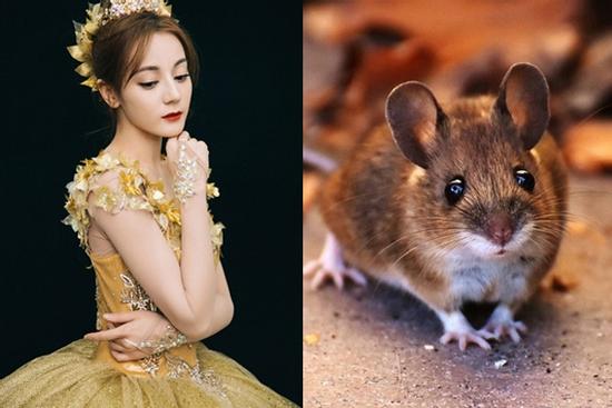 Những con giáp nhìn ngoài quê mùa nhưng trong két đầy tiền, lúc biết ai cũng bất ngờ