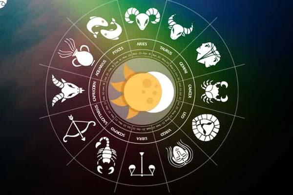 Cây tài lộc có ý nghĩa gì và cách trồng để mang lại tài lộc-5