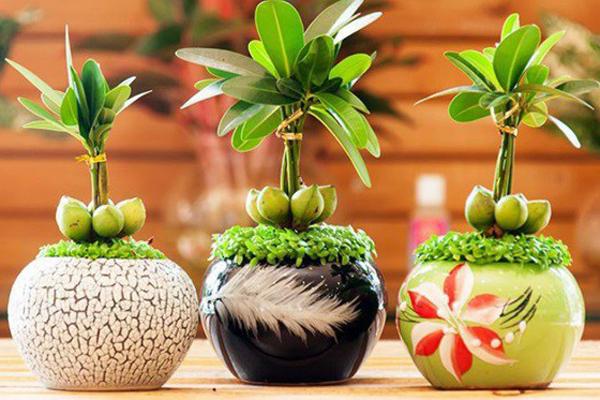 Cung hoàng đạo bên ngoài cười nói bên trong khóc thầm-4