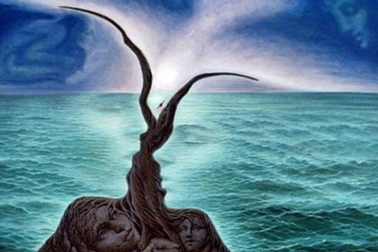 Hình ảnh đầu tiên nhìn thấy tiết lộ bạn là người có hoài bão hay thích an phận