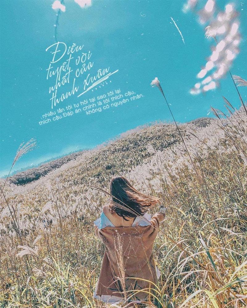 Đứng vào là có ảnh đẹp, sống lưng khủng long Bình Liêu, Quảng Ninh mê đắm giới trẻ-5