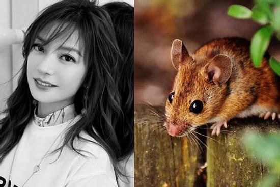 Không chấp nhận kiếp nghèo, những con giáp bứt phá thành công, sau tuổi 30 giàu kếch xù