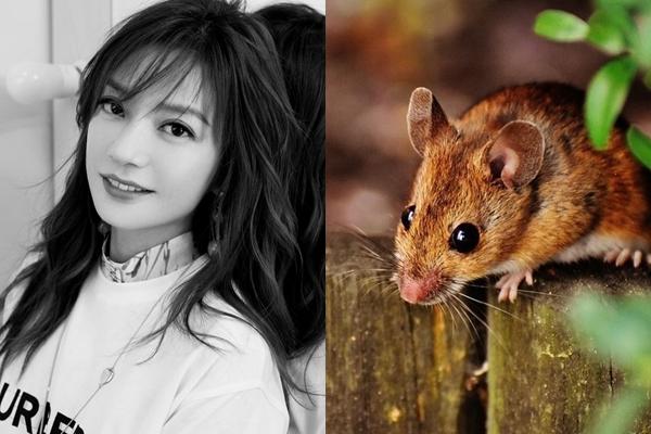 Không chấp nhận kiếp nghèo, những con giáp bứt phá thành công, sau tuổi 30 giàu kếch xù-1