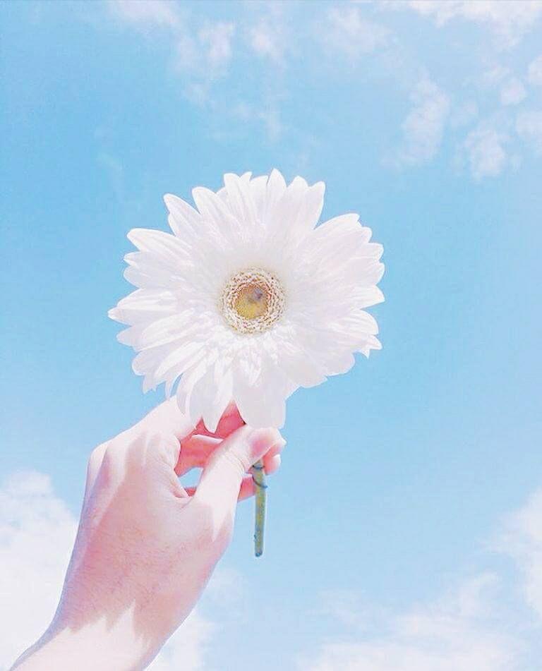 Ngày cuối tuần 12/9/2020, vận xui ám quẻ con giáp nào?-2