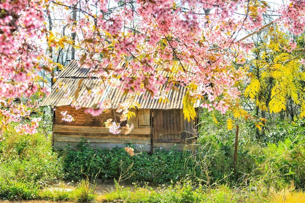 4 điểm du lịch đẹp, rẻ cho dịp cuối năm-2