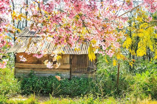 4 điểm du lịch đẹp, rẻ cho dịp cuối năm