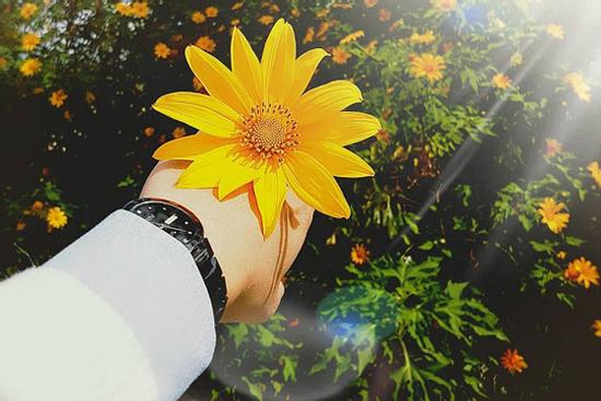 Tử vi Chủ nhật ngày 13/9/2020: Vận may bủa vây, có 3 con giáp được trở mình