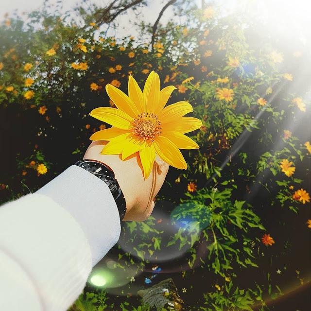 Tử vi Chủ nhật ngày 13/9/2020: Vận may bủa vây, có 3 con giáp được trở mình-4