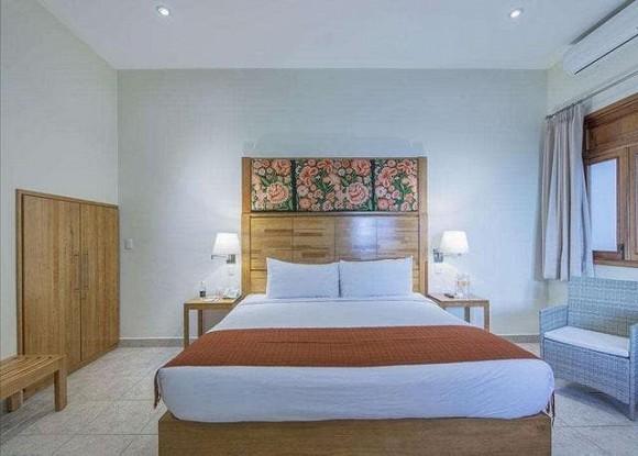 Đặt loại vật này trong phòng ngủ có thể gia tăng vận may! Nhiều người tiếc vì không biết sớm-4