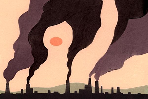 Bạn nhìn thấy con vịt hay con thỏ? Câu trả lời tiết lộ bạn là người kiêu hãnh hay dễ bị tổn thương-2