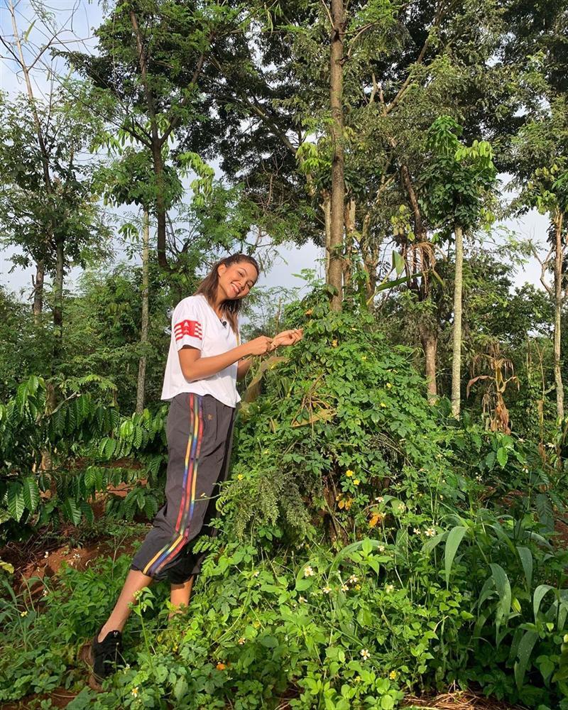 Xem HHen Niê thu hoạch rau củ, ai cũng thích được về Tây Nguyên-4