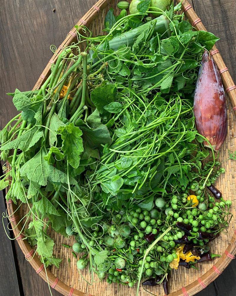 Xem HHen Niê thu hoạch rau củ, ai cũng thích được về Tây Nguyên-6