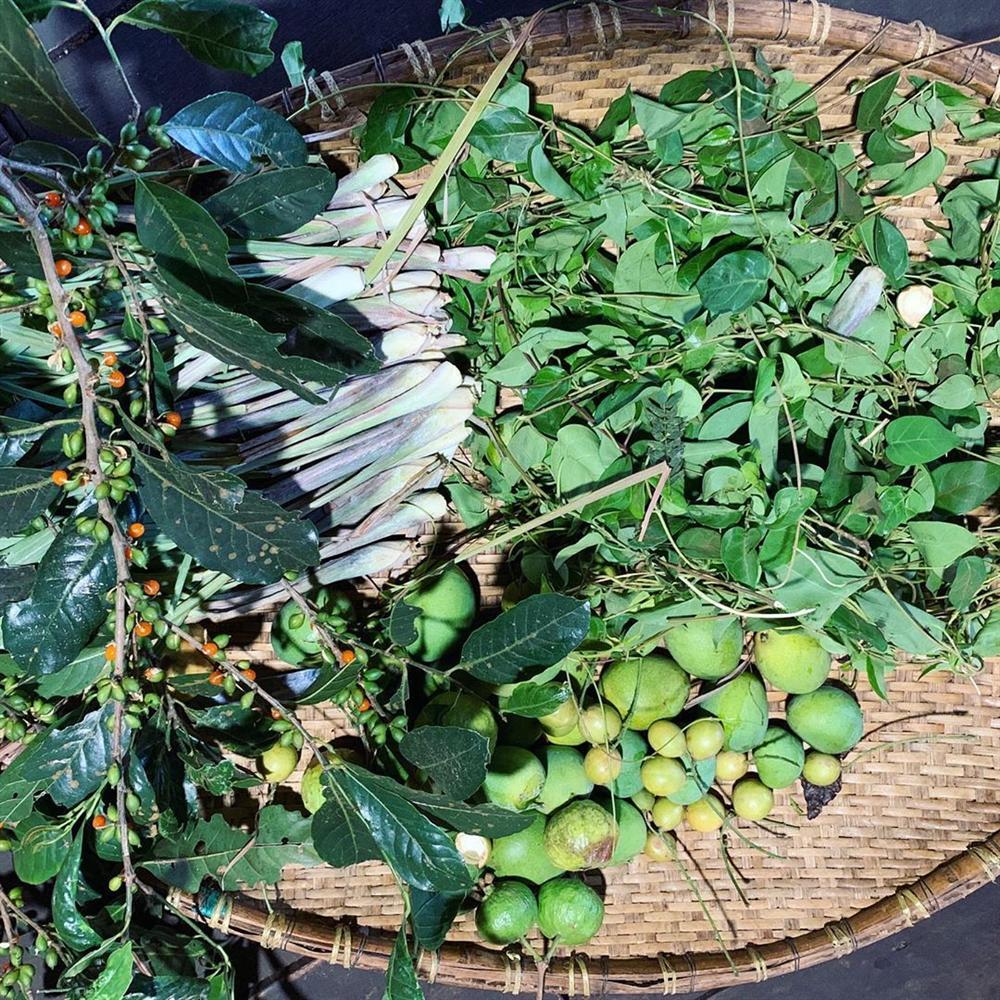 Xem HHen Niê thu hoạch rau củ, ai cũng thích được về Tây Nguyên-10