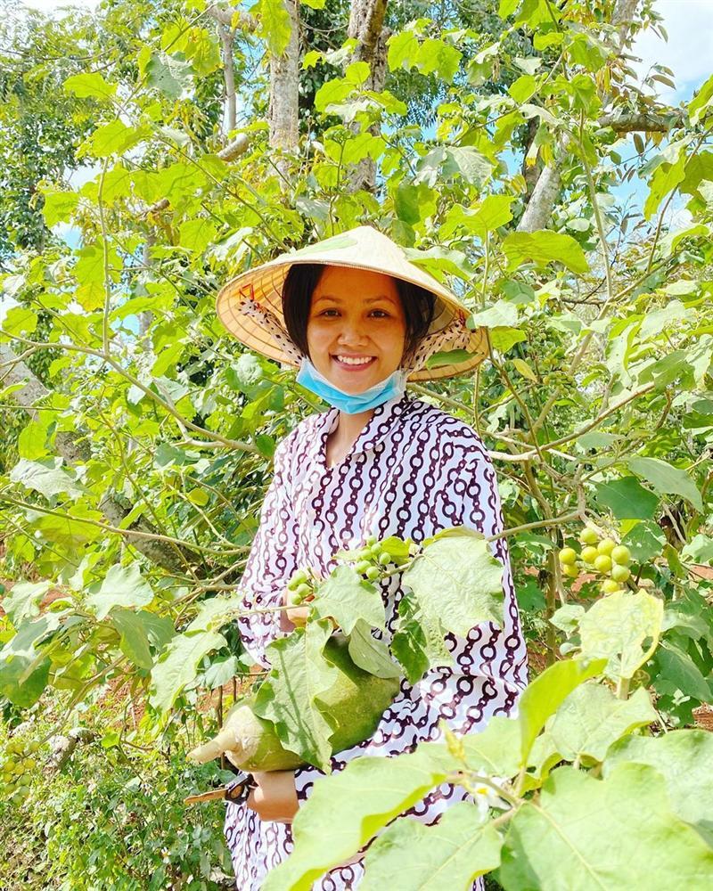 Xem HHen Niê thu hoạch rau củ, ai cũng thích được về Tây Nguyên-8