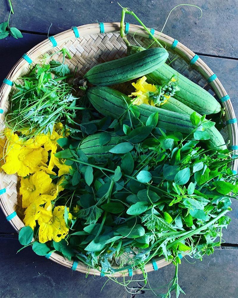 Xem HHen Niê thu hoạch rau củ, ai cũng thích được về Tây Nguyên-11