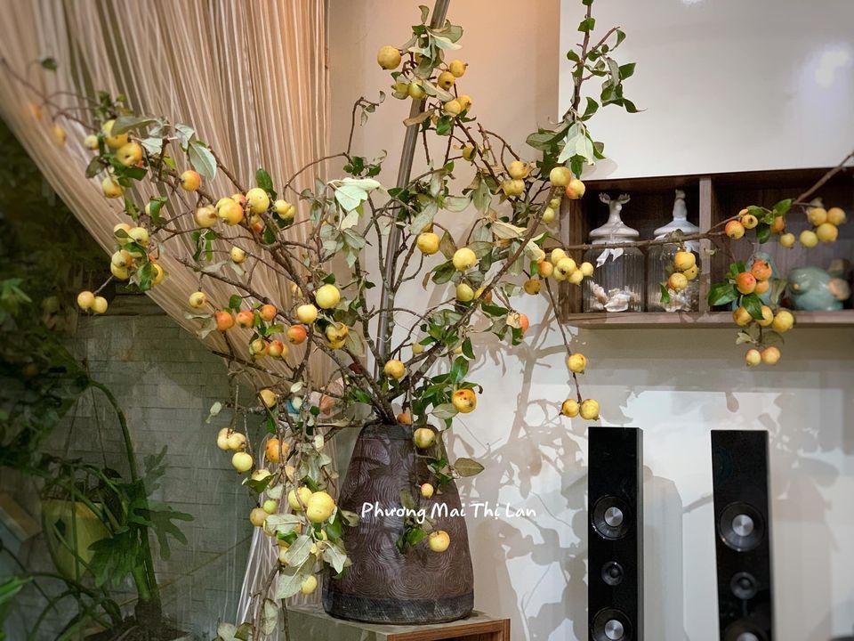 Học lỏm cách cắm cành táo mèo của mẹ Hà Nội, nhìn đẹp như tranh bảo sao bão like-2