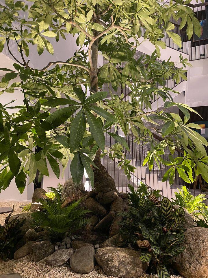 Sân thượng cực sang chảnh trong biệt thự khủng của Cường Đô La-16