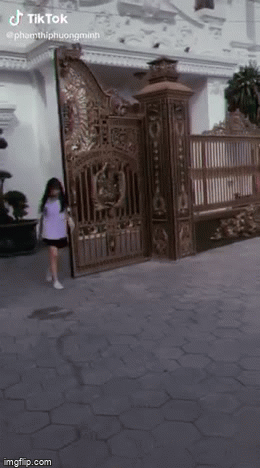 Bóc trần sự thật clip nữ sinh bước ra từ siêu lâu đài, bên cạnh có trực thăng đang đợi-2