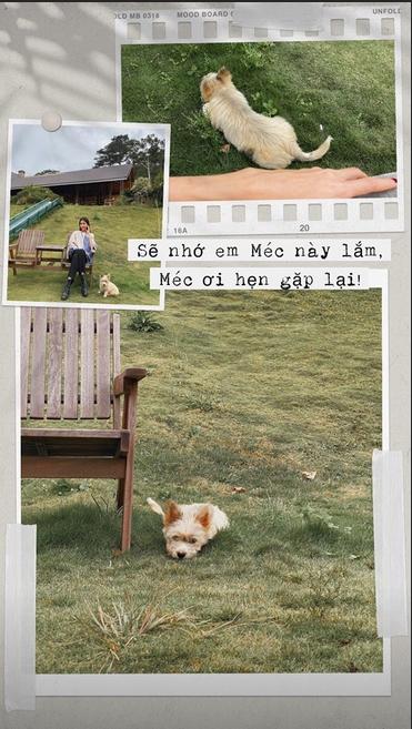 Tăng Thanh Hà trốn chồng con đi du lịch cùng những người đặc biệt-11