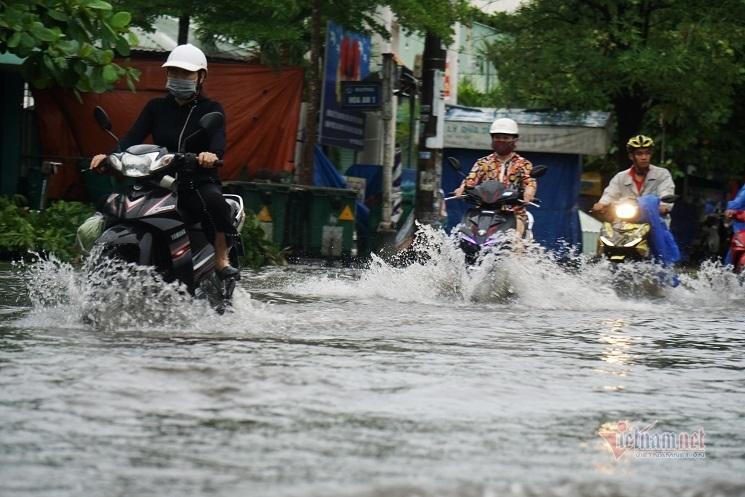 Mưa xối xả, đường ở Đà Nẵng thành sông, hàng loạt cây xanh ngã đổ-3