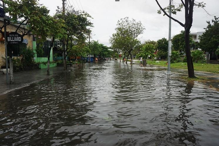 Mưa xối xả, đường ở Đà Nẵng thành sông, hàng loạt cây xanh ngã đổ-4