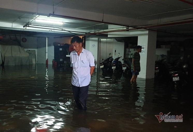 Mưa xối xả, đường ở Đà Nẵng thành sông, hàng loạt cây xanh ngã đổ-9