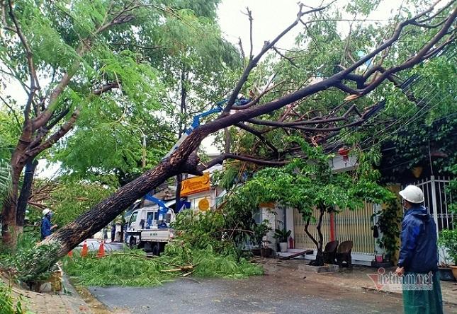 Mưa xối xả, đường ở Đà Nẵng thành sông, hàng loạt cây xanh ngã đổ-10