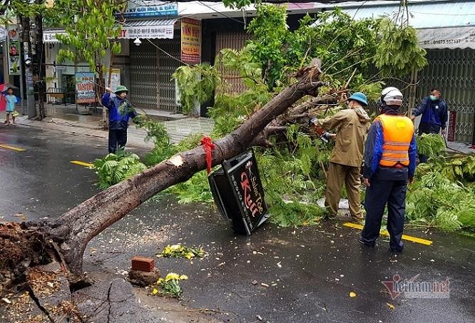 Mưa xối xả, đường ở Đà Nẵng thành sông, hàng loạt cây xanh ngã đổ-13