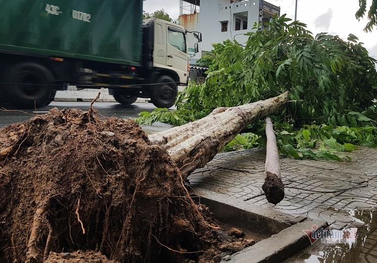 Bão vào đất liền quật cây cối nhà cửa ngổn ngang, người đi đường bị hất văng ngã nhào-4