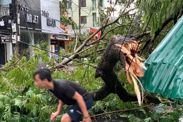 Bão vào đất liền quật cây cối nhà cửa ngổn ngang, người đi đường bị hất văng ngã nhào-2