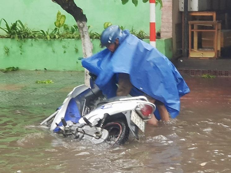 Bão vào đất liền quật cây cối nhà cửa ngổn ngang, người đi đường bị hất văng ngã nhào-3