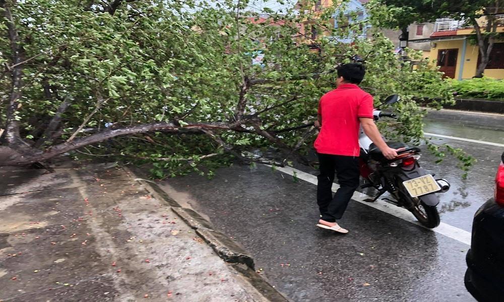Bão vào đất liền quật cây cối nhà cửa ngổn ngang, người đi đường bị hất văng ngã nhào-5