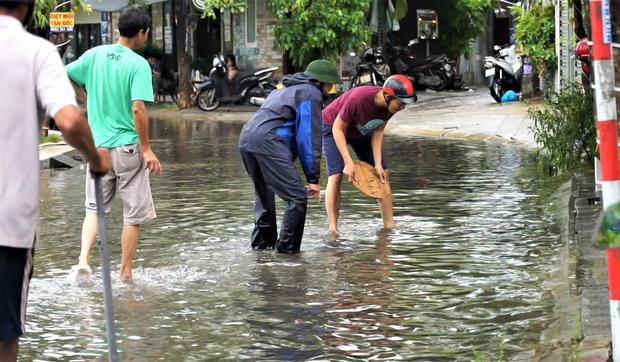 Clip: Người dân Đà Nẵng ra đường quốc lộ bắt cá sau bão số 5-1