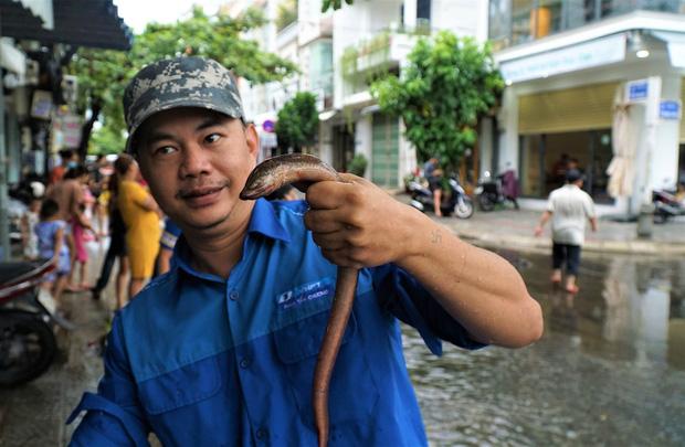 Clip: Người dân Đà Nẵng ra đường quốc lộ bắt cá sau bão số 5-2