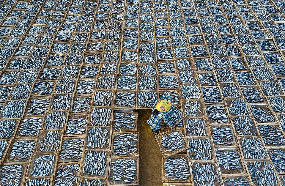 Giải thưởng Nhiếp ảnh Thế giới Sony được tổ chức thường niên với hàng nghìn tác phẩm từ nhiều quốc gia tham dự. Cuộc thi nhằm tôn vinh nhiếp ảnh đương đại xuất sắc. Trong đó, tác phẩm ghi lại khung cảnh người phụ nữ đang phơi cá ở chợ cá Long Hải, huyện Long Điền, tỉnh Bà Rịa - Vũng Tàu, gây ấn tượng với ban tổ chức. Bức ảnh thuộc danh mục du lịch, được chụp bởi nữ nhiếp ảnh gia Khánh Phan.