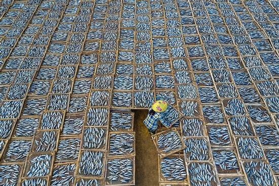 Cảnh phơi cá ở Việt Nam vào top ảnh đẹp quốc tế