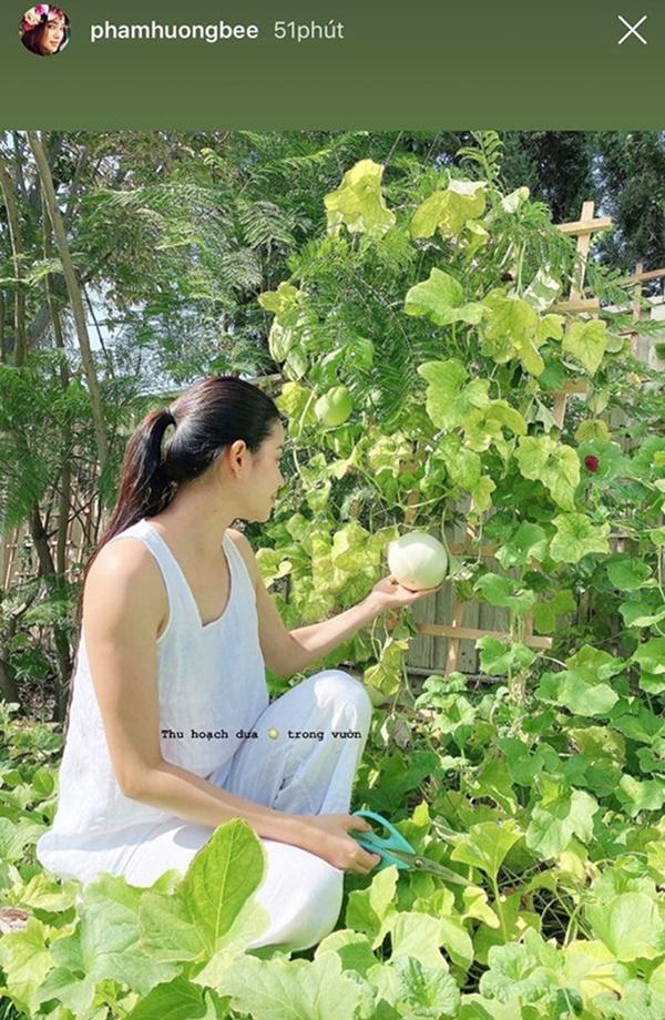 Phạm Hương lộ body tăng cân thấy rõ: Người ta càng gầy càng đẹp, mẹ bỉm có da có thịt lại càng xinh hơn mới hay-1